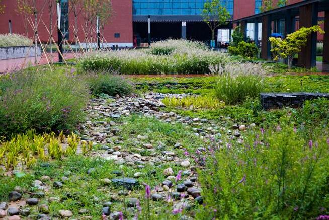 海綿城市到底利大于弊還是弊大于利？安康海綿城市道路施工廠家為你介紹