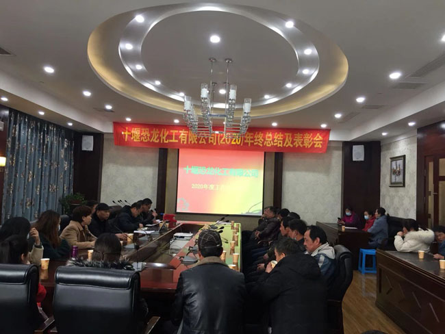 恐龍化工召開(kāi)年終總結(jié)及表彰大會(huì)