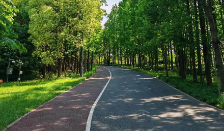 自行車綠道施工需要注意些什么？